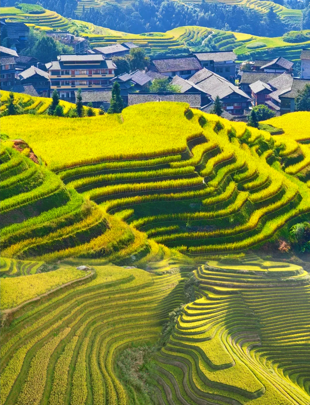 Seven Stars Accompany the Moon (七星伴月) — Ping'an