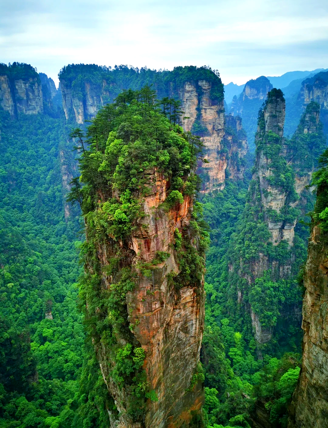 Yuanjiajie Scenic Area (袁家界) — Avatar Mountains